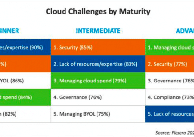 Berg Software - 2020 Business Landscape - Cloud Challenges by Maturity